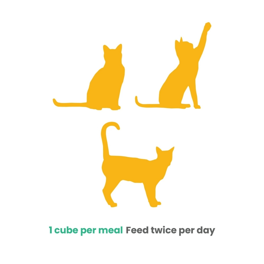 PETCUBES 4x80G LAMB COOKED CAT FOOD image 4