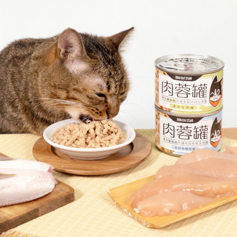 DOGCATSTAR 98% MINI MEAT BALL MEAT CANNED 165G MILKFISH & BONITO WET CAT FOOD image 2