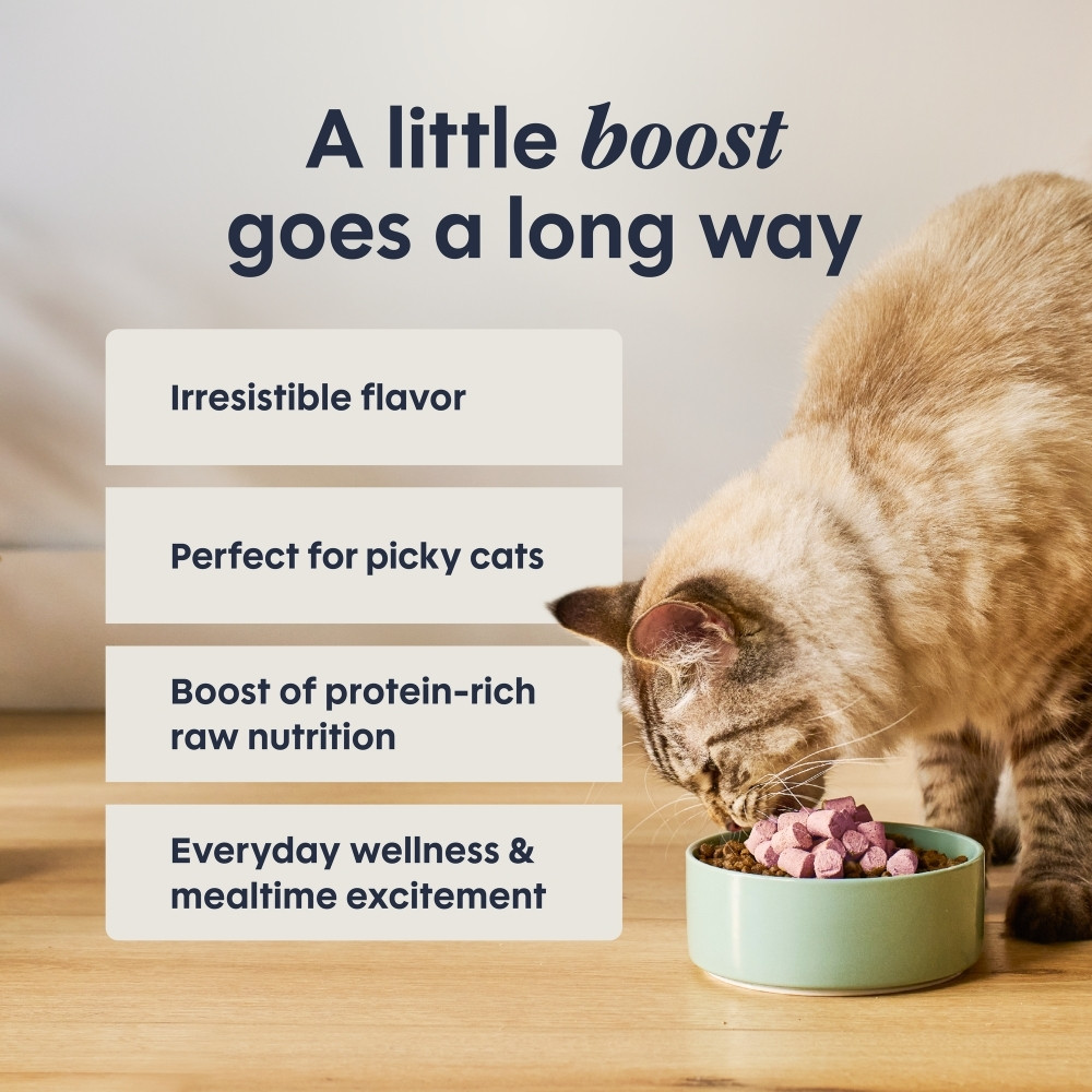 INSTINCT CAT FREEZE-DRIED RAW BOOST MIXERS 155G (5.5OZ) GRAIN-FREE SKIN & COAT CAT FOOD TOPPER image 4