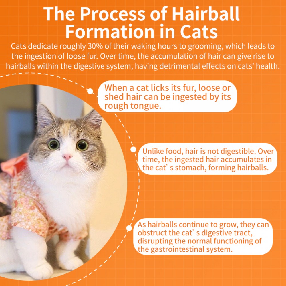 PUAINTA HAIRBALL SOLUTION GEL 120G image 8