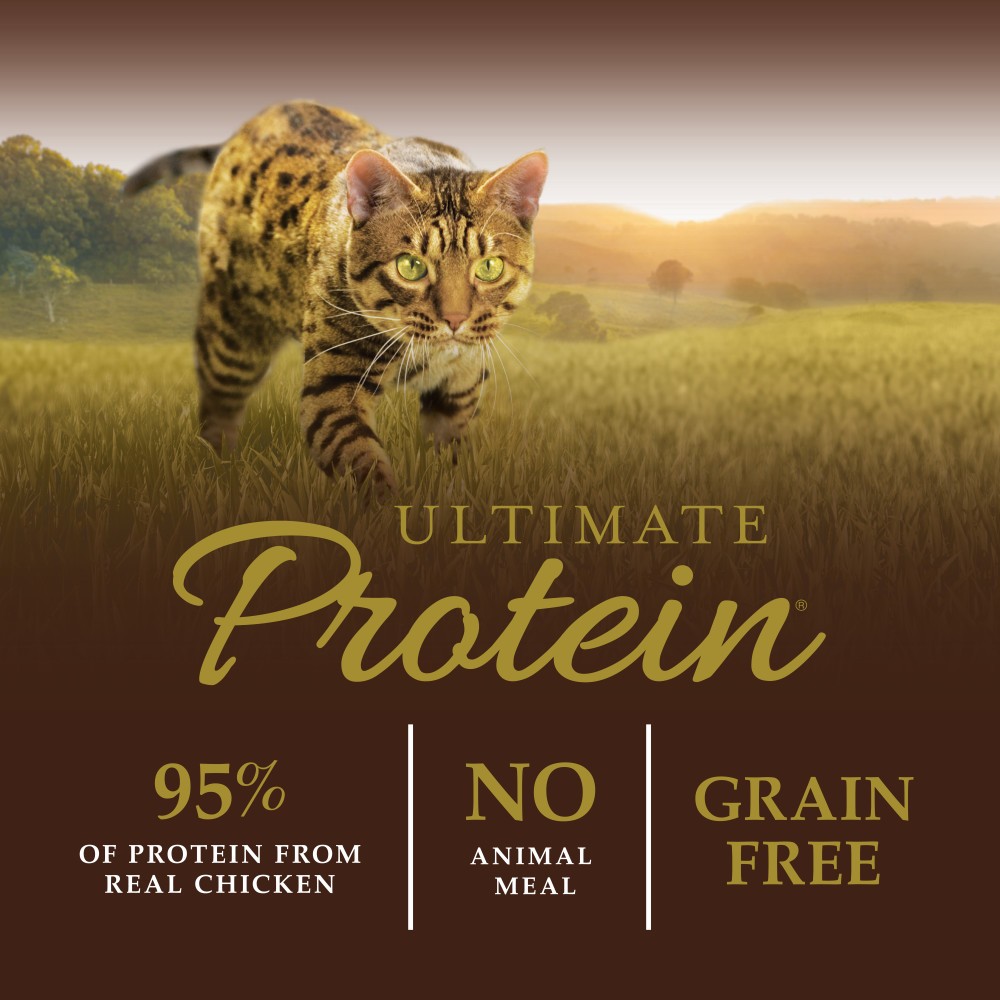 INSTINCT CAT ULTIMATE PROTEIN 4.5KG (10LB) GRAIN FREE CAGE FREE CHICKEN RECIPE DRY CAT FOOD image 3