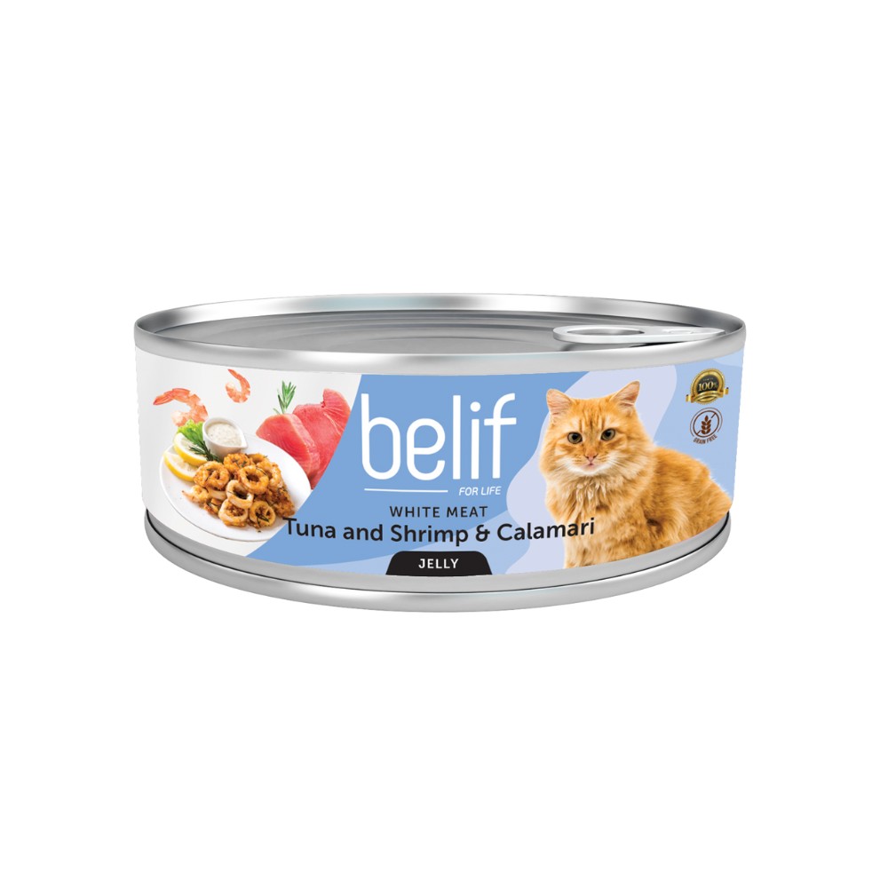 BELIF CAT 80G WET CAT FOOD IN JELLY image 7