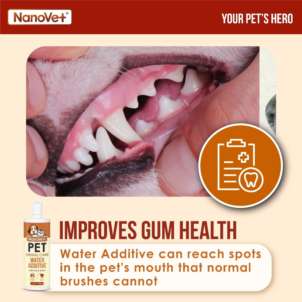 NANOVET DENTAL WATER ADDITIVE 500ML image 5