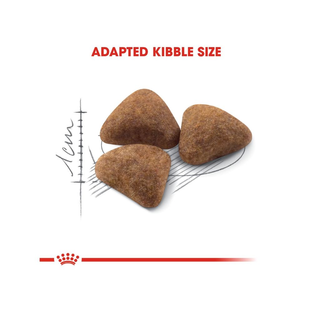 ROYAL CANIN INDOOR 27 10KG DRY CAT FOOD image 4
