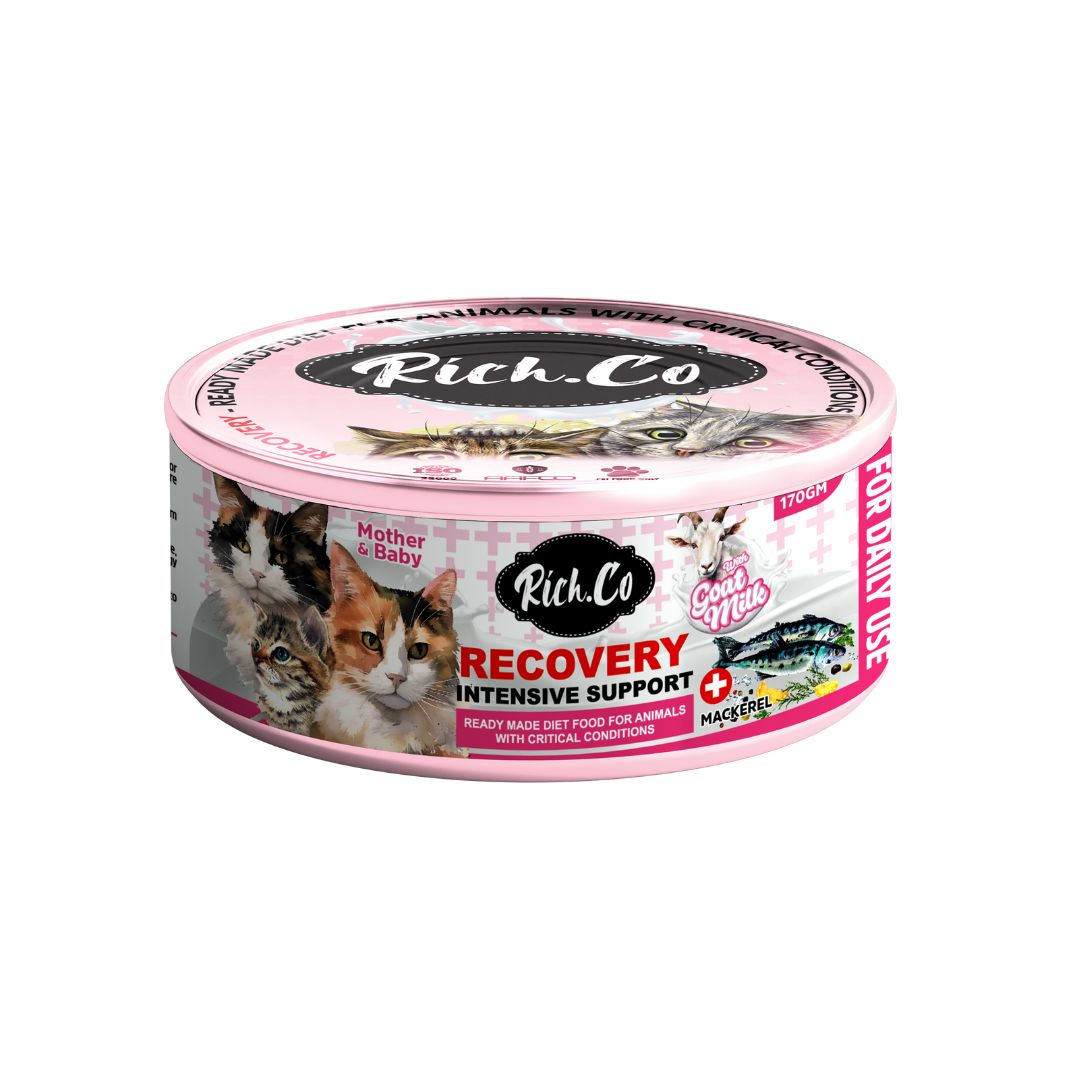 RICH.CO 170G RECOVERY INTENSIVE SUPPORT WET CAT FOOD image 3