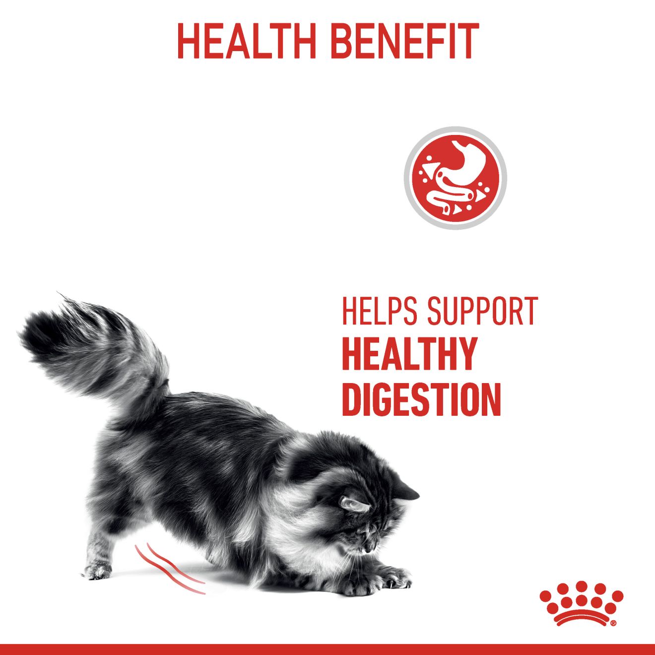 ROYAL CANIN DIGESTIVE CARE 4KG DRY CAT FOOD image 4