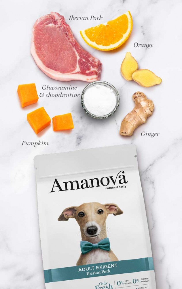 AMANOVA DOG 2KG ADULT EXIGENT IBERIAN PORK DRY DOG FOOD image 3