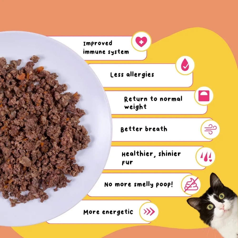 PETCHEF CAT 100G BUFFALO RECIPE COOKED CAT FOOD image 5