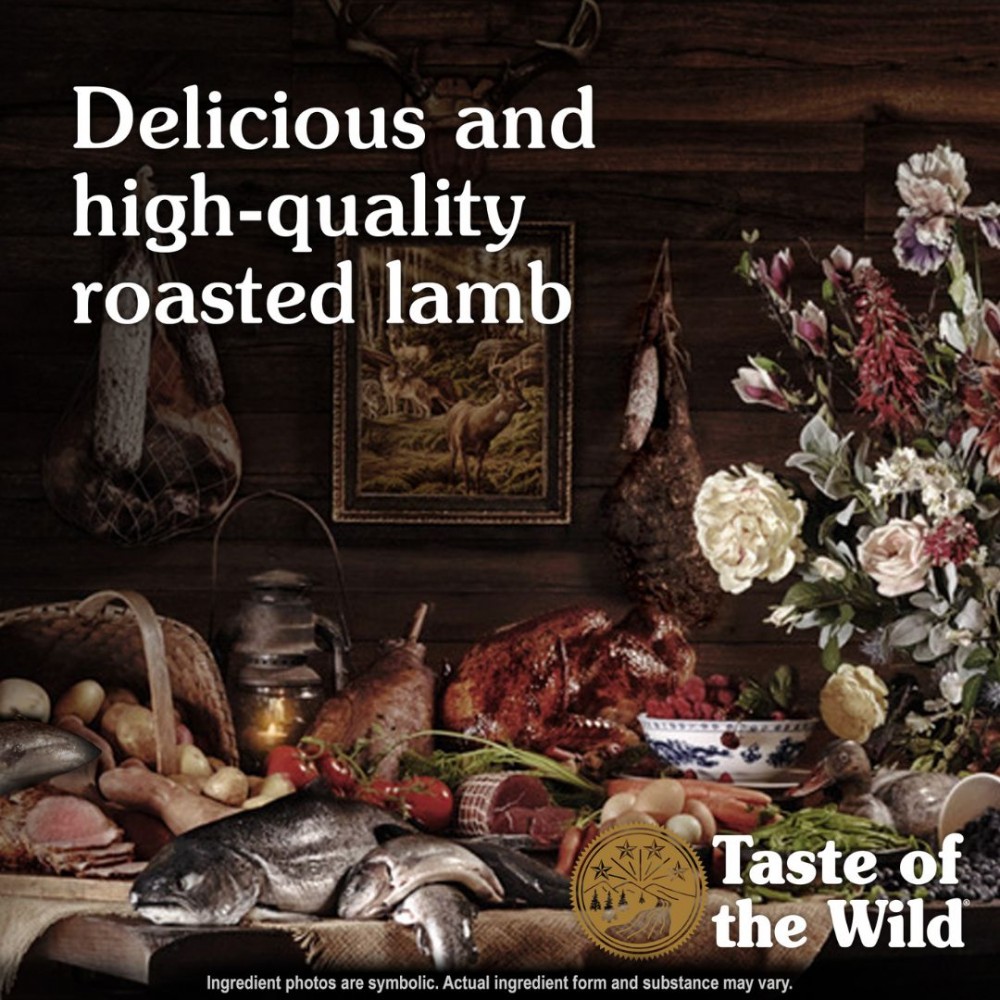 TASTE OF THE WILD DOG 12.2KG SIERRA MOUNTAIN ROASTED LAMB DRY DOG FOOD image 6
