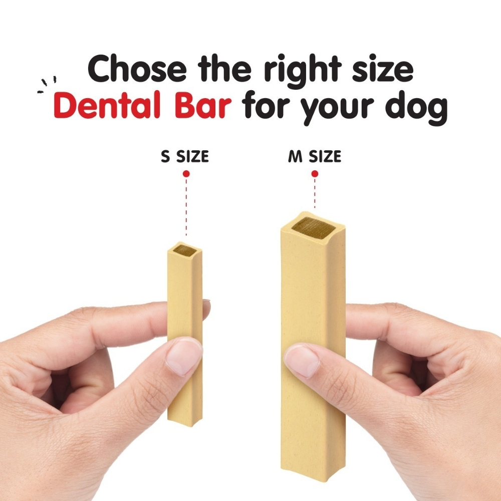 PROBALANCE MUNCHIEZZ 100G DENTAL BAR S TURKEY & FLAXSEED OIL DOG SNACK image 3