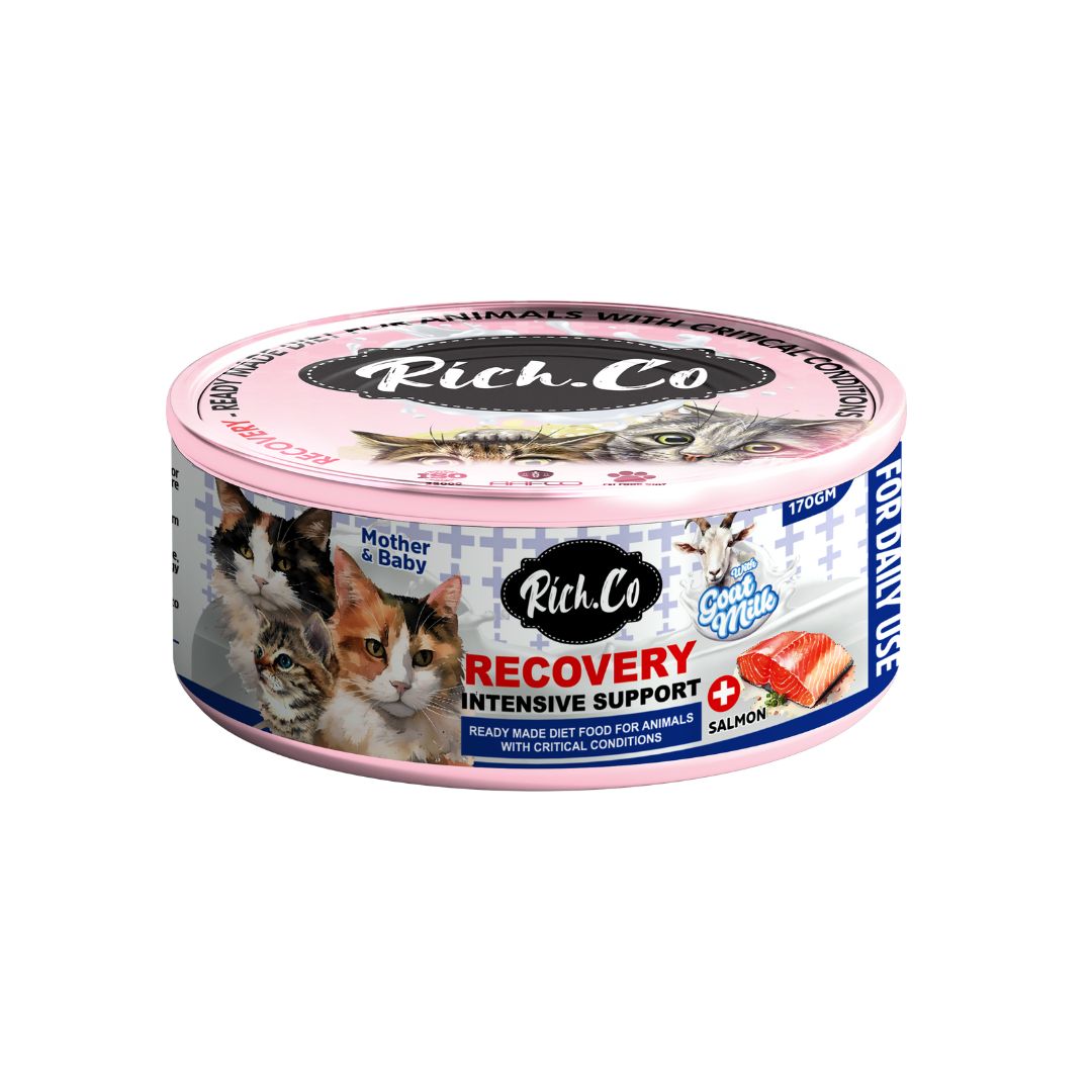 RICH.CO 170G RECOVERY INTENSIVE SUPPORT WET CAT FOOD image 5