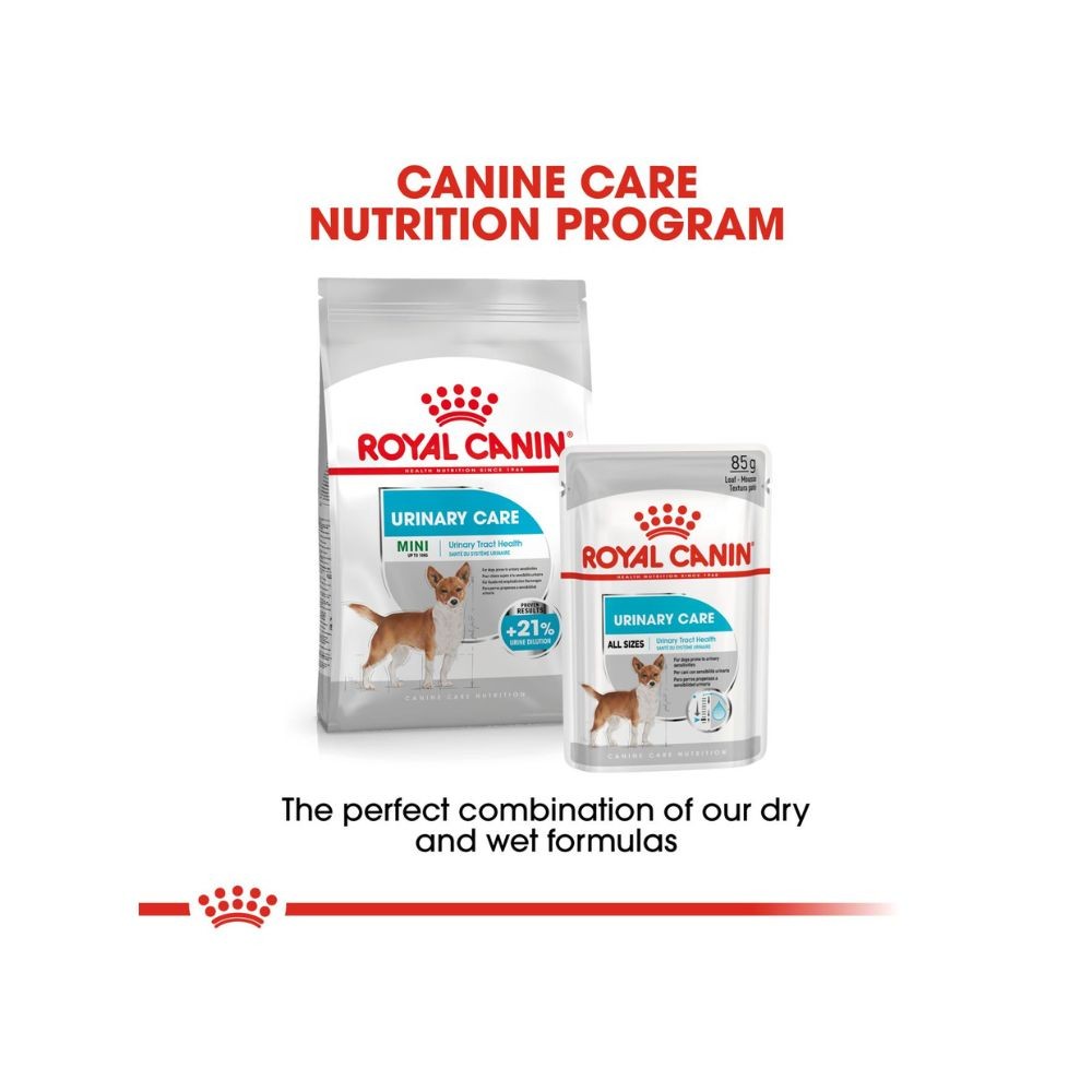 ROYAL CANIN MINI URINARY CARE 3KG DRY DOG FOOD image 8