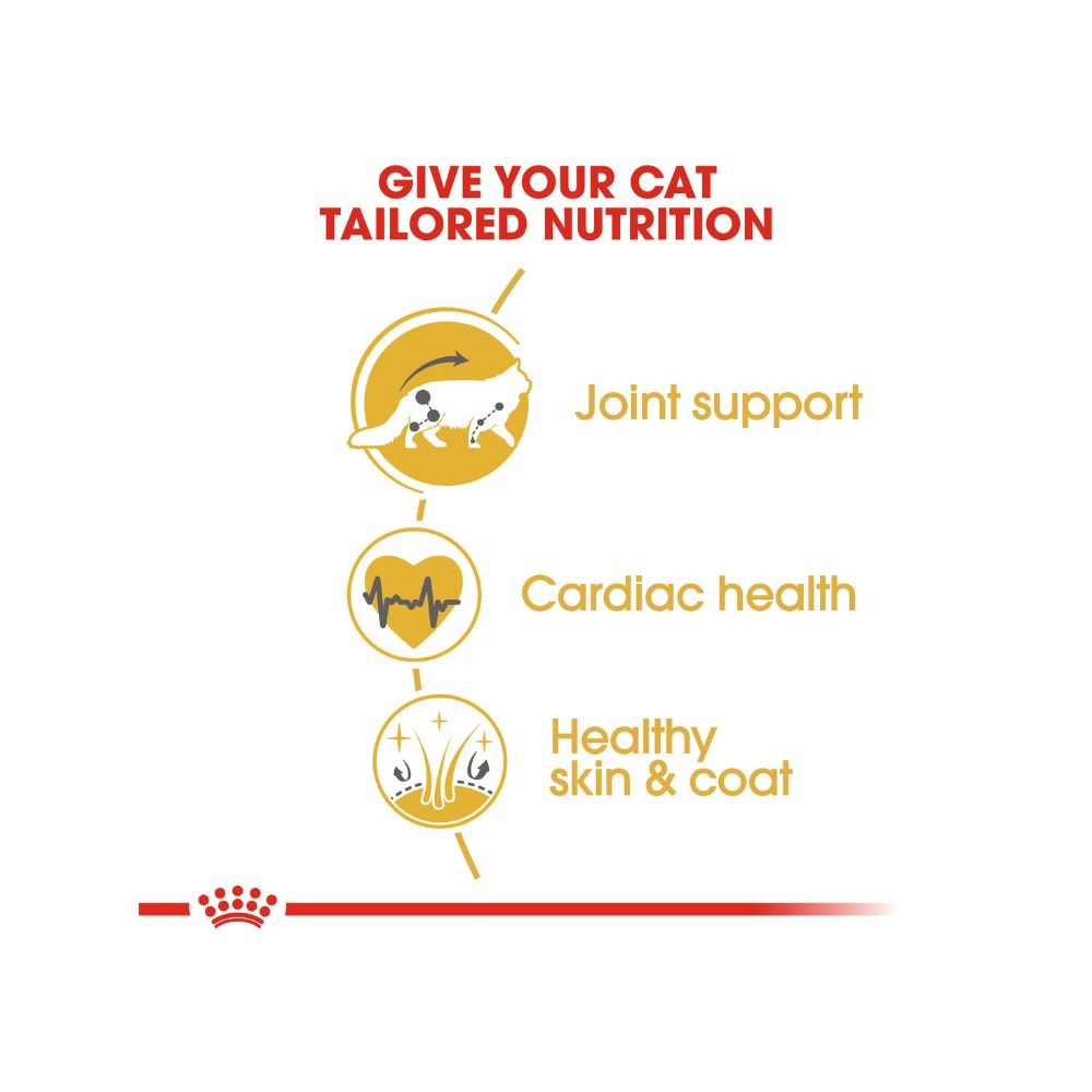 ROYAL CANIN MAINE COON ADULT 10KG DRY CAT FOOD image 3