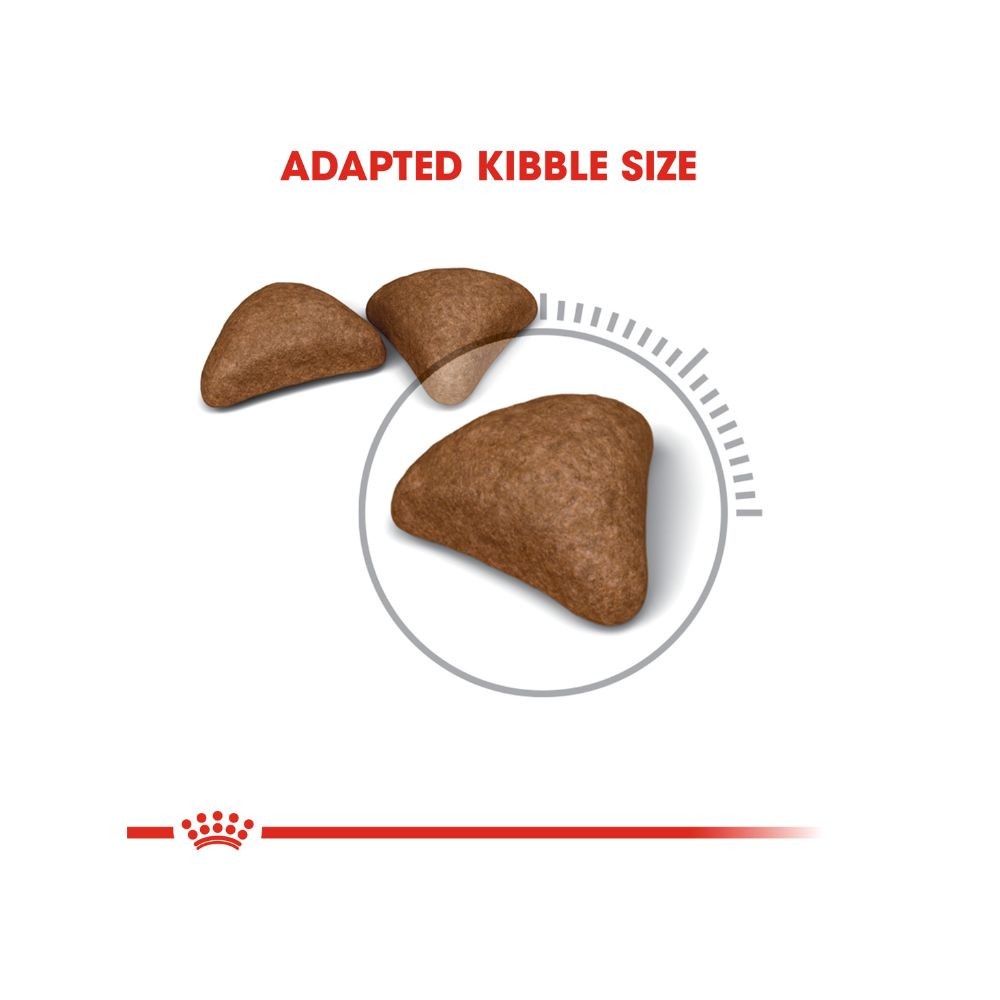 ROYAL CANIN HAIRBALL CARE 4KG DRY CAT FOOD image 3