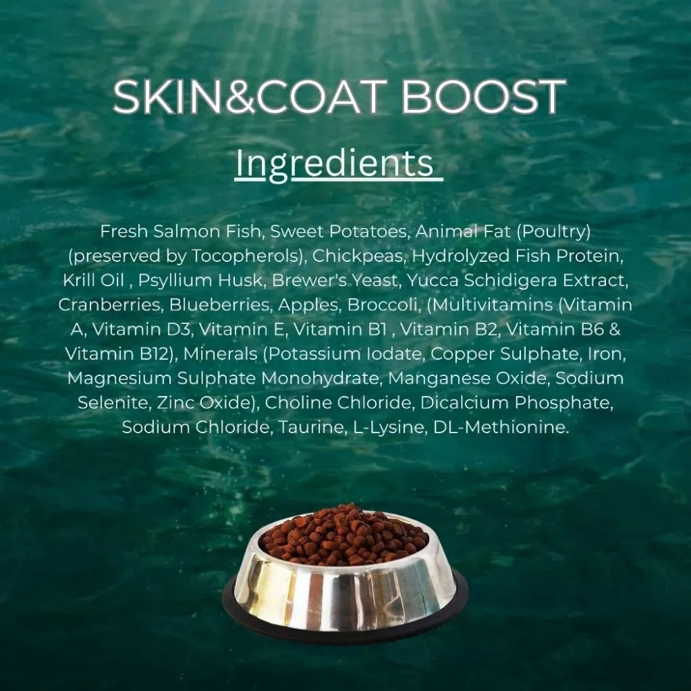 LOYAL BEAST HOLISTIC GRAIN FREE 2KG SKIN & COAT BOOST DRY CAT FOOD image 2