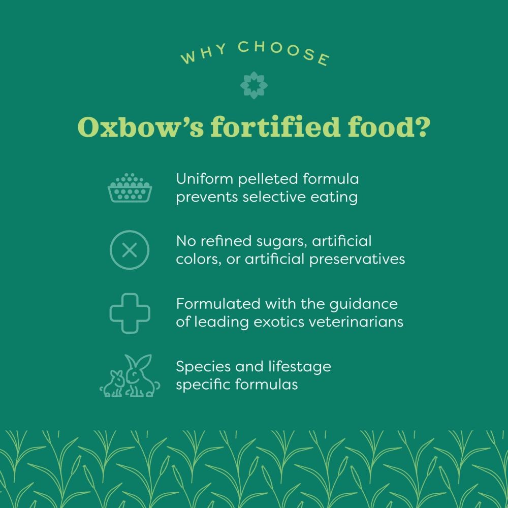 OXBOW FORTIFIED NUTRITION ADULT GUINEA PIG FOOD 4.53KG 10LBS image 5