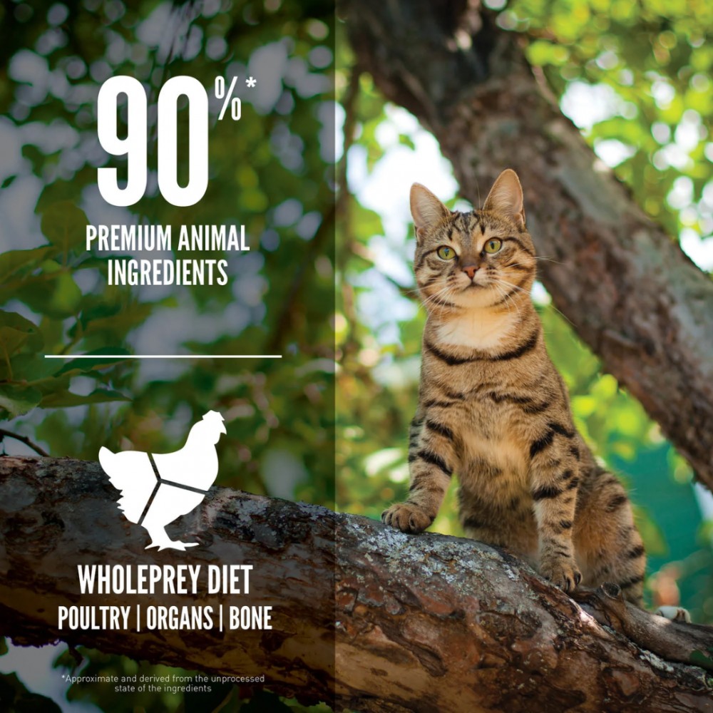 ORIJEN CAT 1.8KG GUARDIAN 8 DRY CAT FOOD image 3