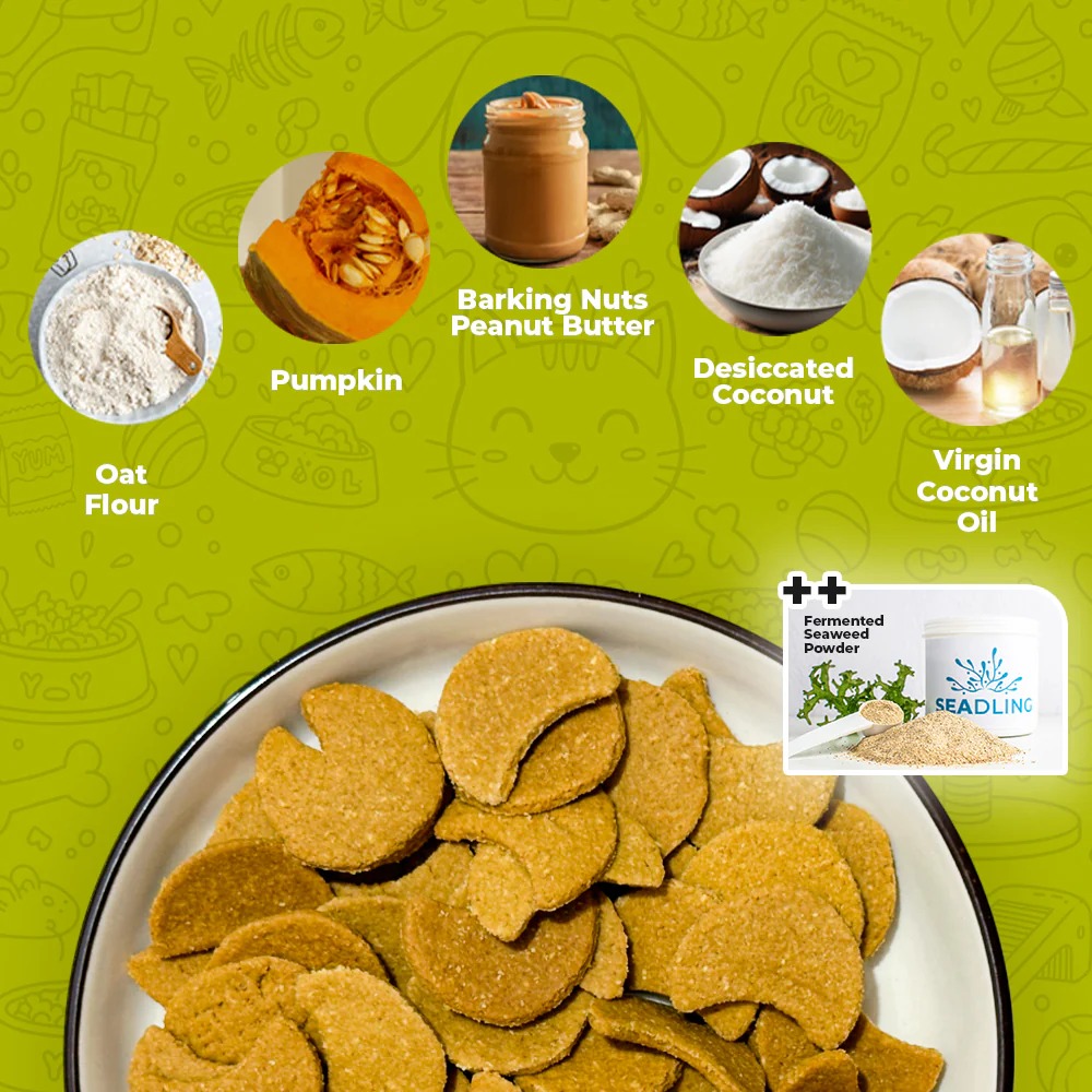 BARKERY OVEN DOG BISCUIT 180G DIGESTIVE BOOST TROPICAL NUTTY PUMPKIN BISCUIT DOG SNACK image 2