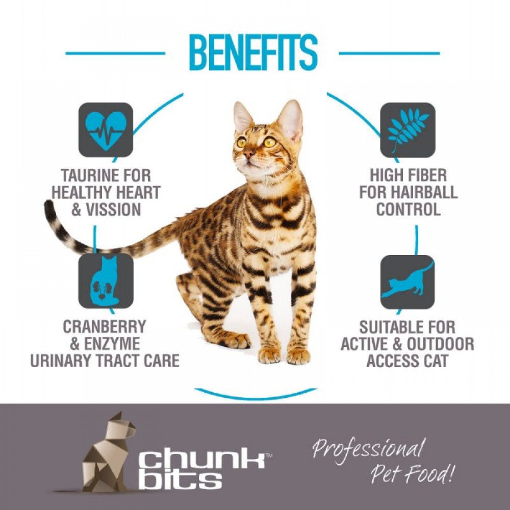 CHUNKBITS CAT 9KG FIT 35 SALMON, SEAFOOD & BARLEY DRY CAT FOOD image 3