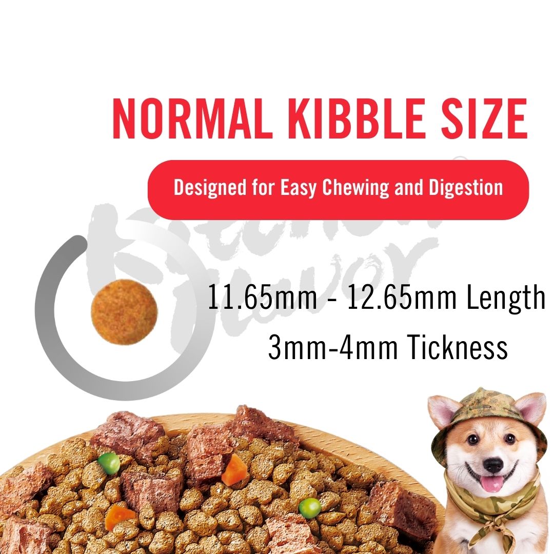 KITCHEN FLAVOR DOG 10KG NATURE GOURMET COMPLETE FOOD FOR MEDIUM & LARGE BEAUTY DOG ALL LIFE STAGES SALMON image 3