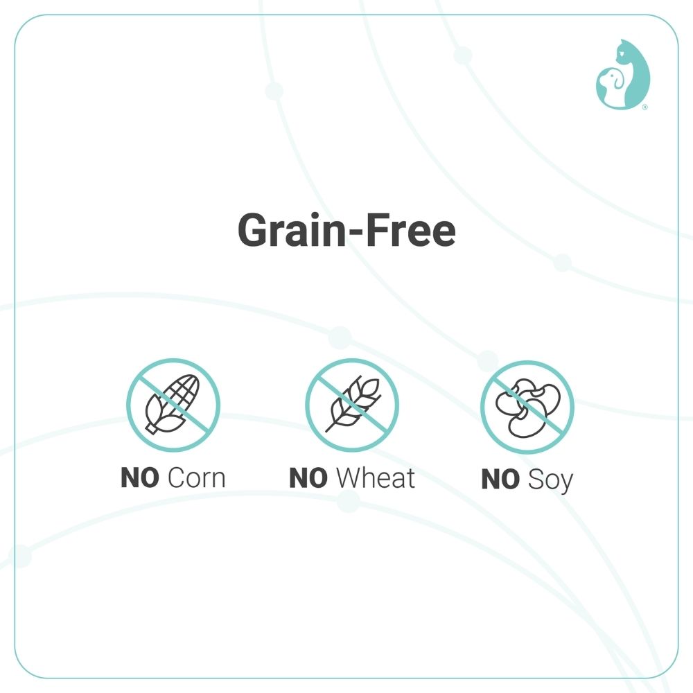 PET UNIVERSE NOURISH DOG VITALITY 4KG PUPPY GROWTH AND NOURISHMENT STAGE WITH FRESH LAMB DRY DOG FOOD image 5