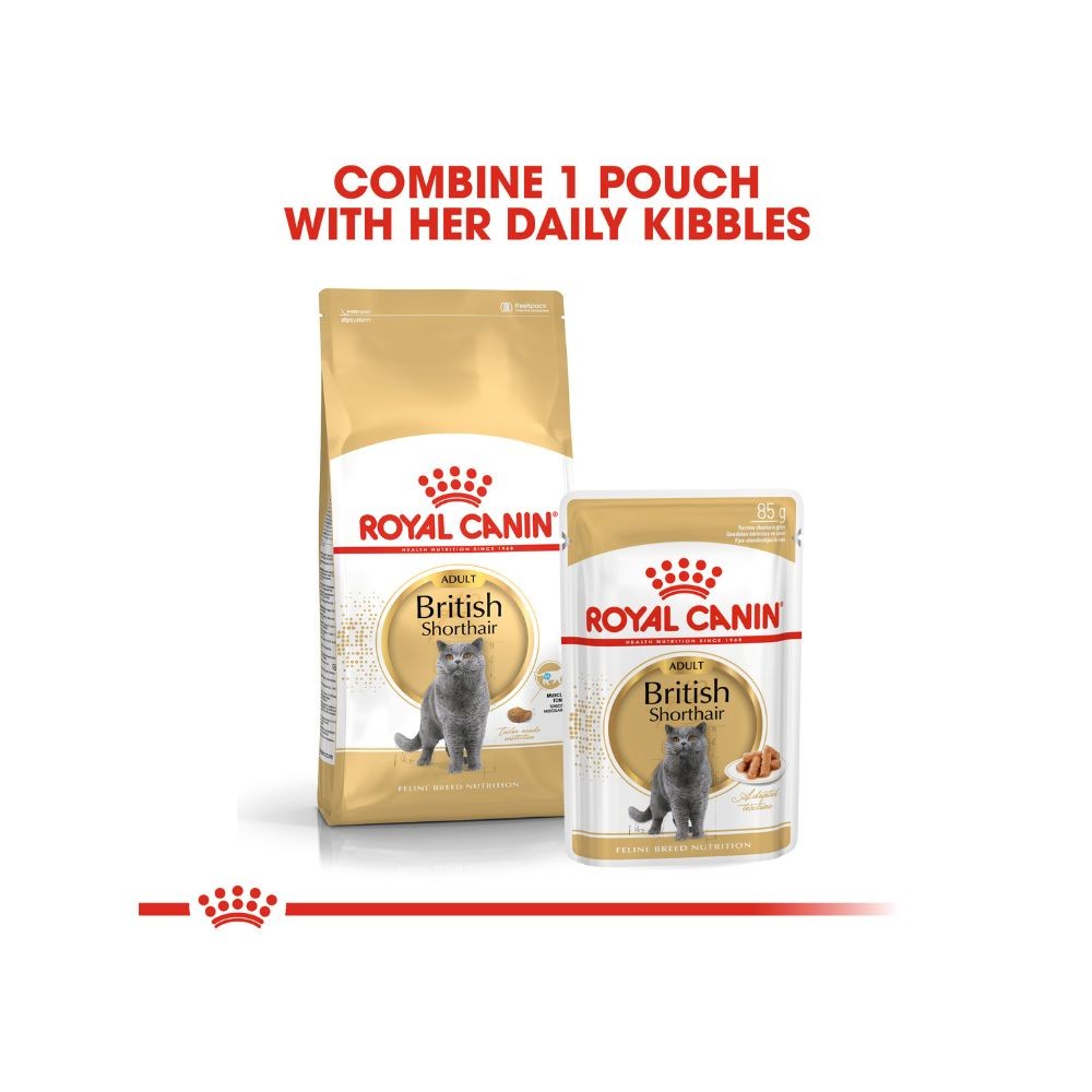 ROYAL CANIN BRITISH SHORTHAIR ADULT 4KG DRY CAT FOOD image 8