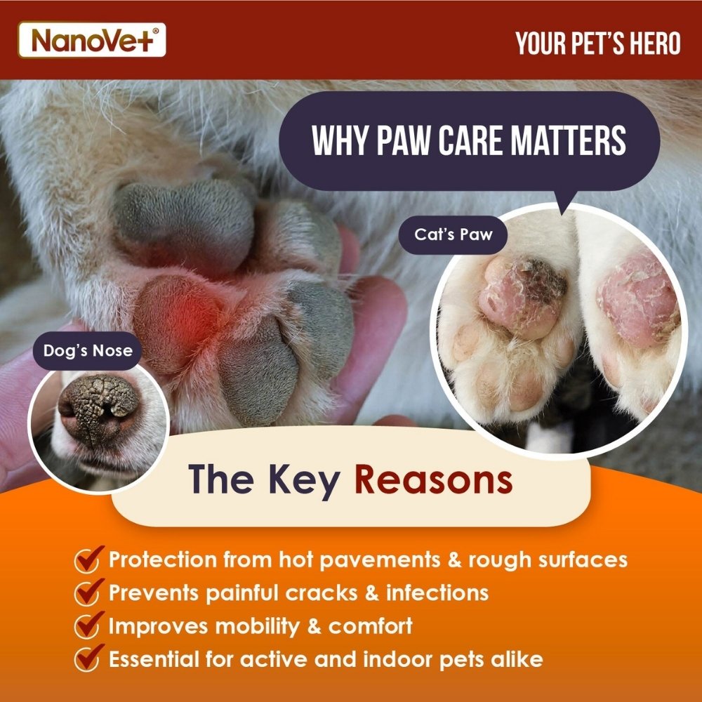 NANOVET PET PAW CREAM 50G image 6