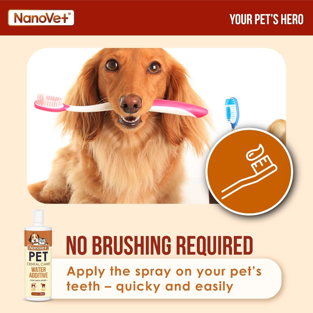 NANOVET DENTAL WATER ADDITIVE 500ML image 7