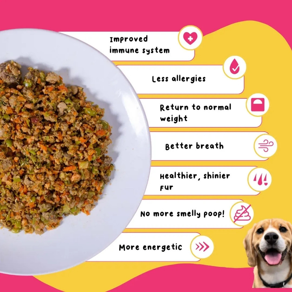 PETCHEF DOG 100G CHICKEN RECIPE COOKED DOG FOOD image 7
