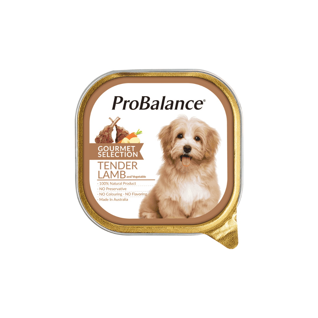 PROBALANCE GOURMET SELECTION 100G WET DOG FOOD image 4