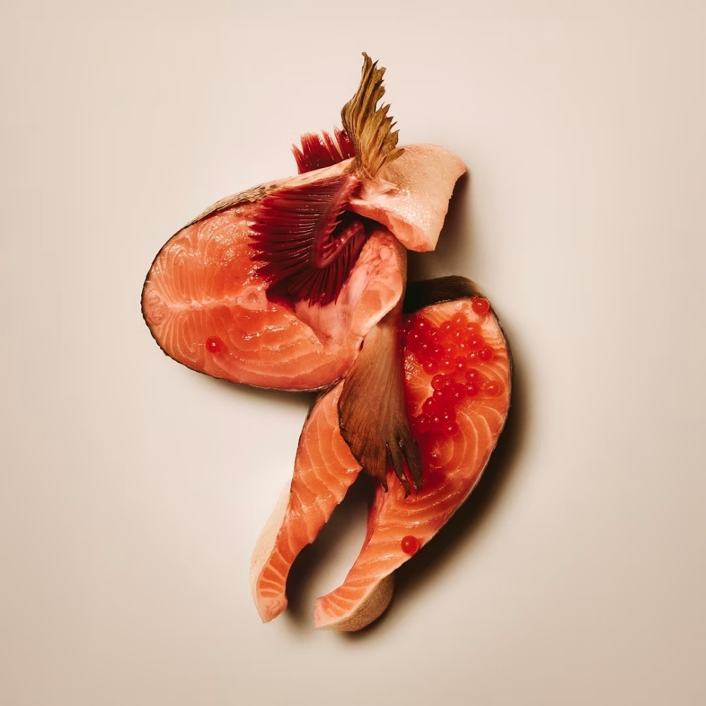 CARNILOVE DOG 200G CRUNCHY SALMON WITH BLUEBERRIES DOG SNACK image 2