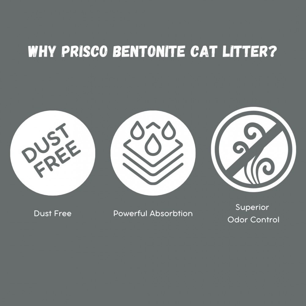 PRISCO 10L CHARCOAL BENTONITE CAT LITTER image 4