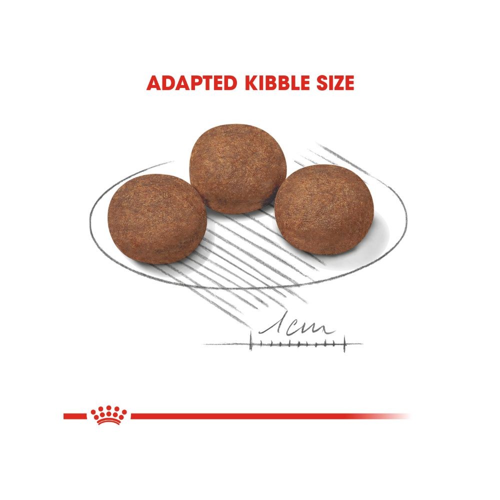 ROYAL CANIN MEDIUM PUPPY 4KG DRY DOG FOOD image 3