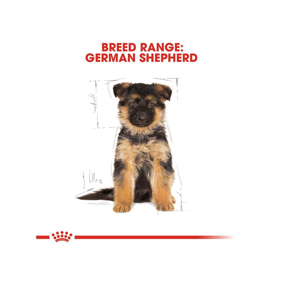 ROYAL CANIN GERMAN SHEPHERD JUNIOR 12KG DRY DOG FOOD image 5