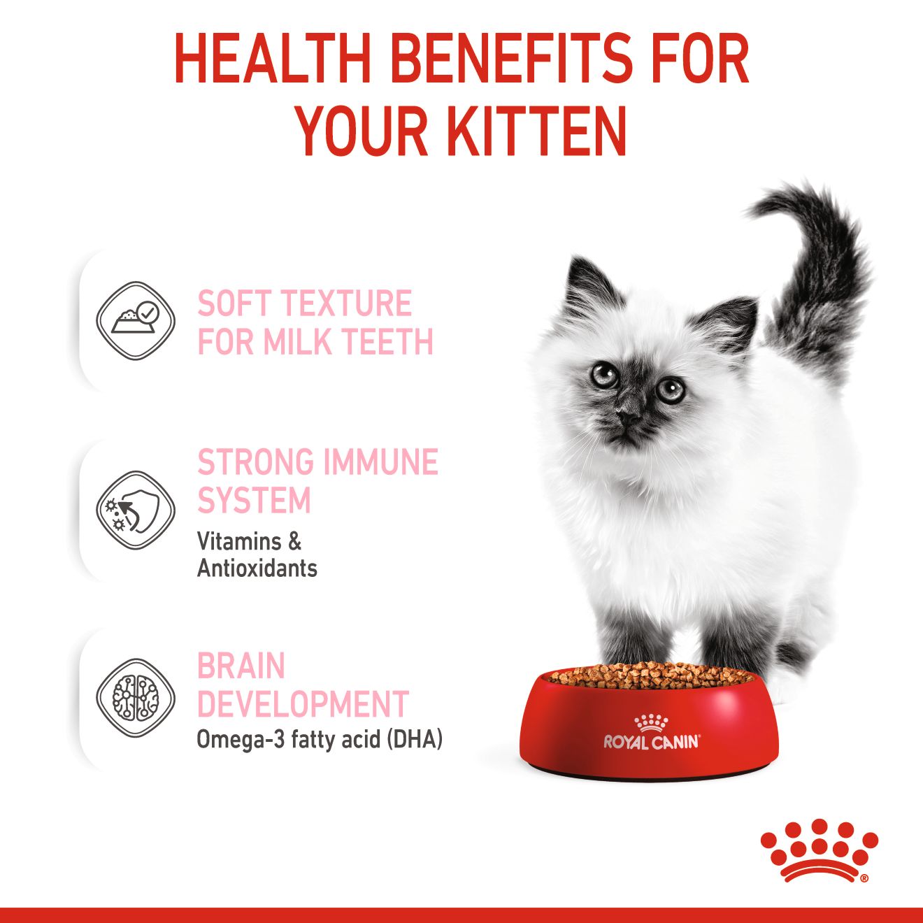 ROYAL CANIN WET KITTEN POUCH 85G WET CAT FOOD image 4