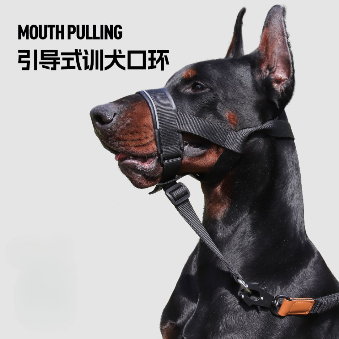 FAN XING ADJUSTABLE DOG MUZZLE WITH PU LEATHER IN KHAKI M image 2