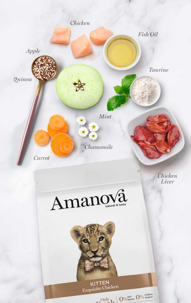 AMANOVA CAT 4KG KITTEN EXQUISITE CHICKEN LOW GRAIN DRY CAT FOOD image 2