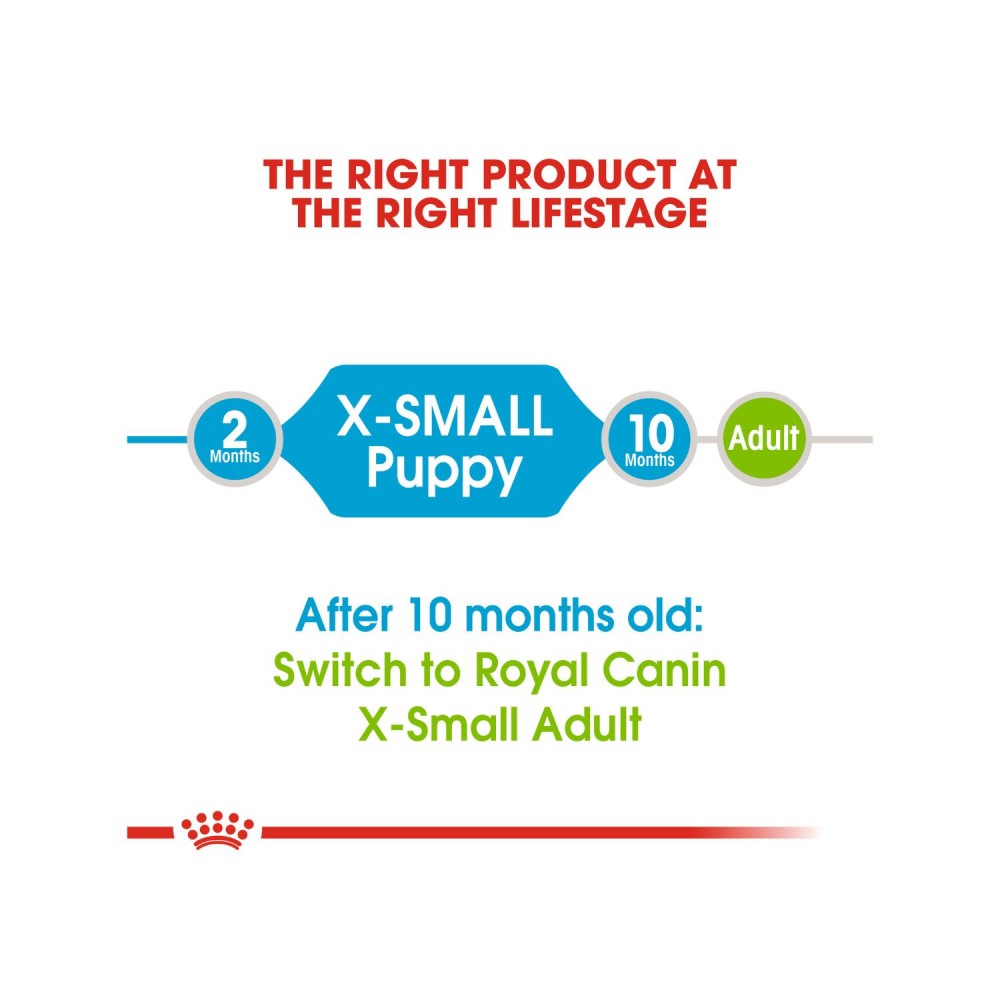 ROYAL CANIN XSMALL JUNIOR / PUPPY 3KG DRY DOG FOOD image 4
