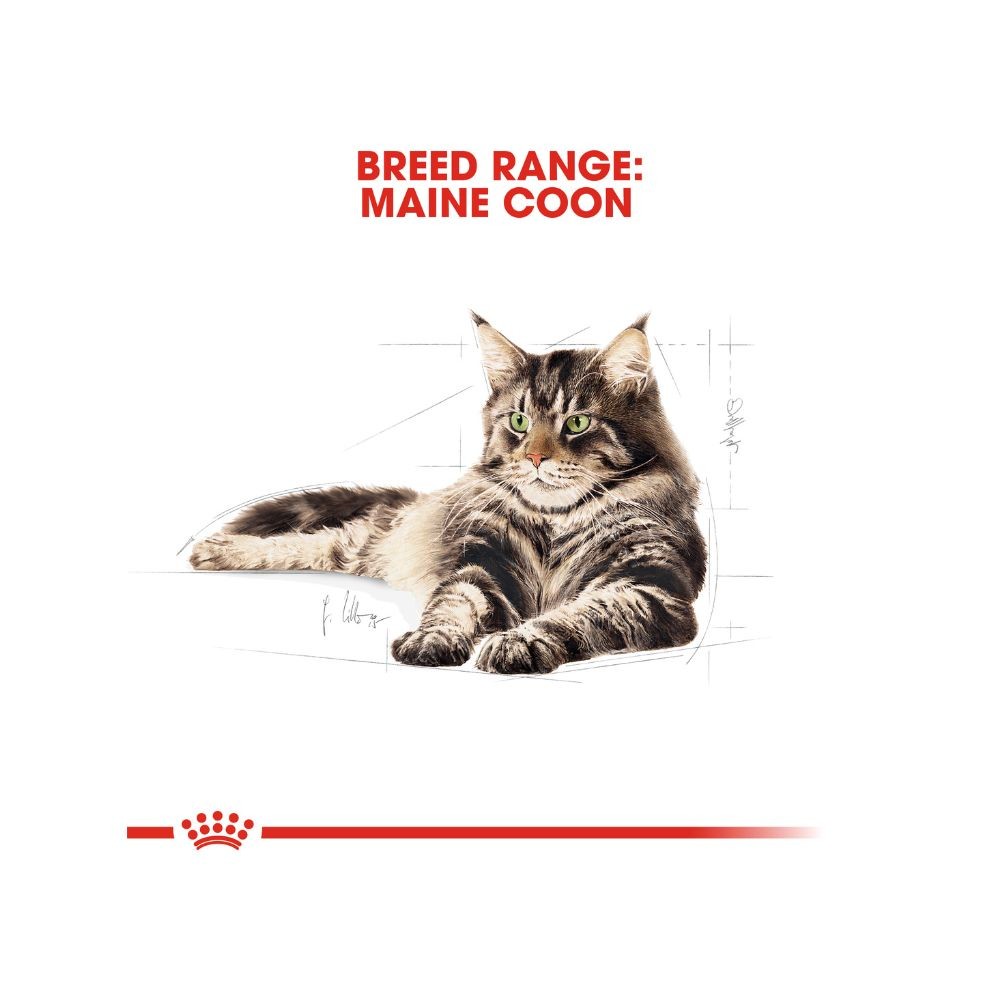 ROYAL CANIN MAINE COON ADULT 10KG DRY CAT FOOD image 5