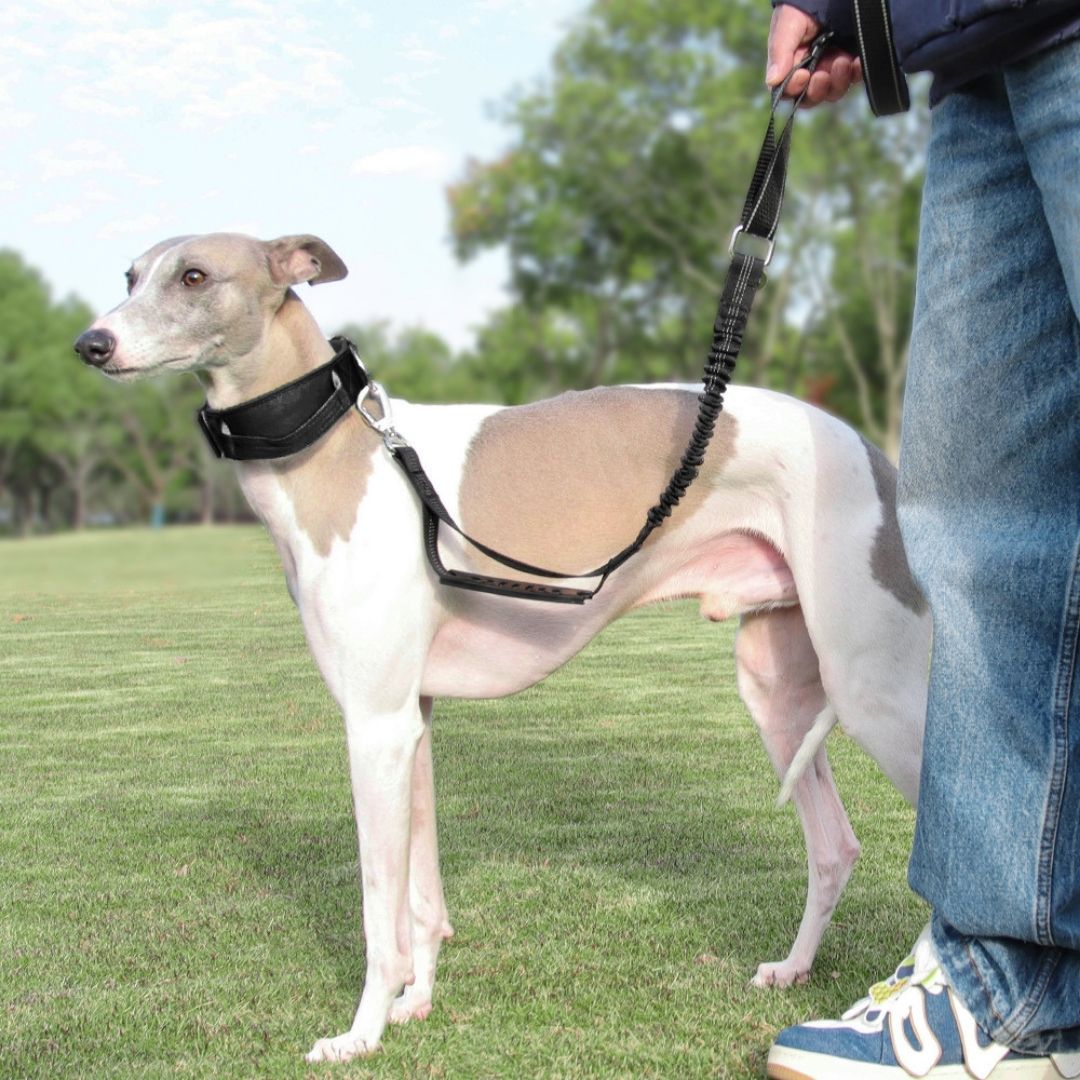 PTC TACTICAL DOG LEASH IN BLACK 125-200CM X2.5CM image 3