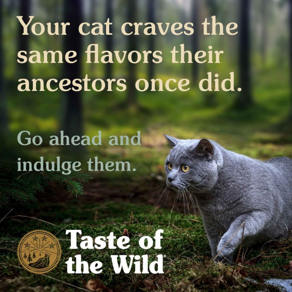 TASTE OF THE WILD CAT 2KG ROCKY MOUNTAIN FELINE VENISON & SMOKED SALMON DRY CAT FOOD image 7