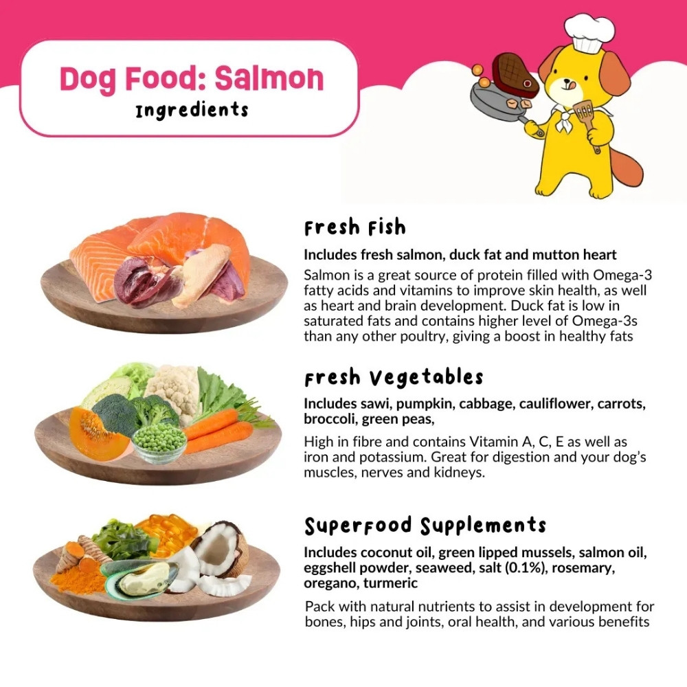 PETCHEF DOG 100G SALMON RECIPE COOKED DOG FOOD image 8