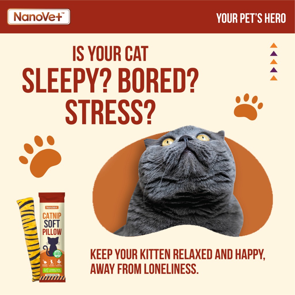NANOVET CATNIP SOFT PILLOW image 4