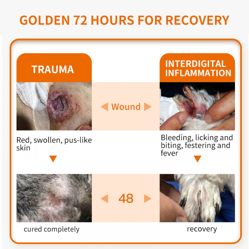 PUAINTA SKIN WOUND SPRAY 30ML image 2