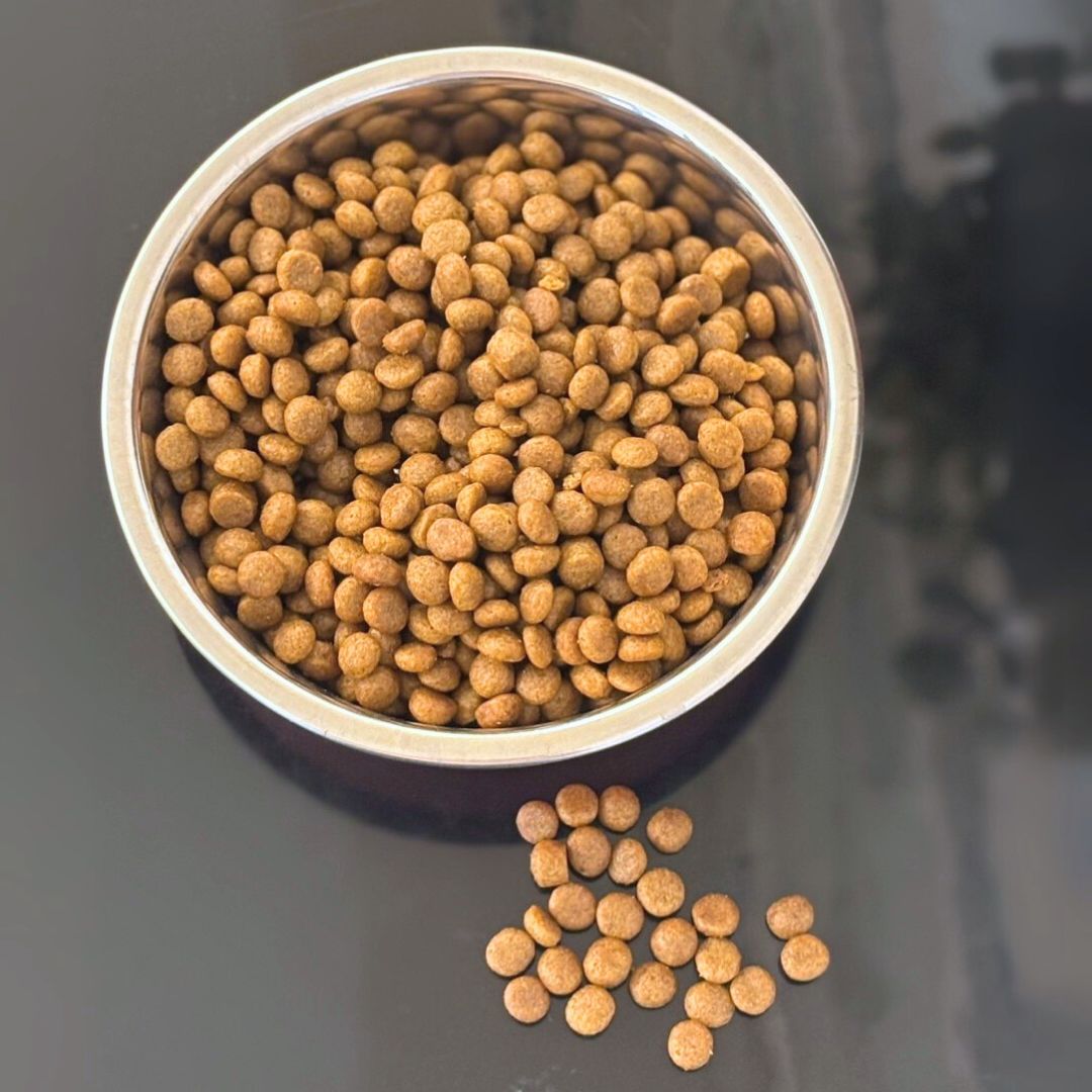 GUZING 10KG MOTHER & BABY DRY CAT FOOD image 3