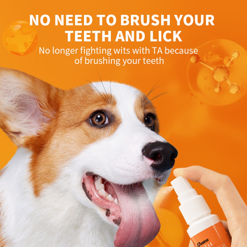 PUAINTA BREATH FRESHNER 30ML image 2