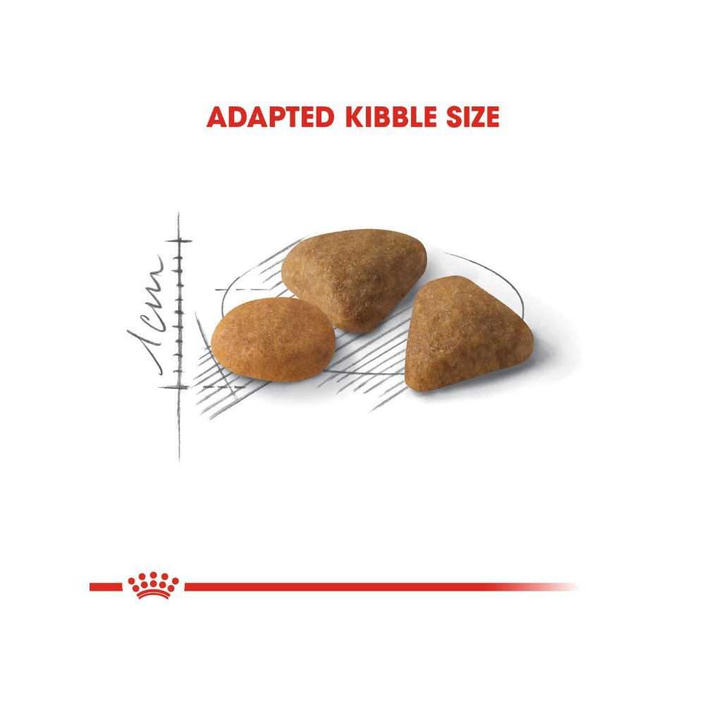 ROYAL CANIN EXIGENT 33 SAVOUR 4KG DRY CAT FOOD image 4