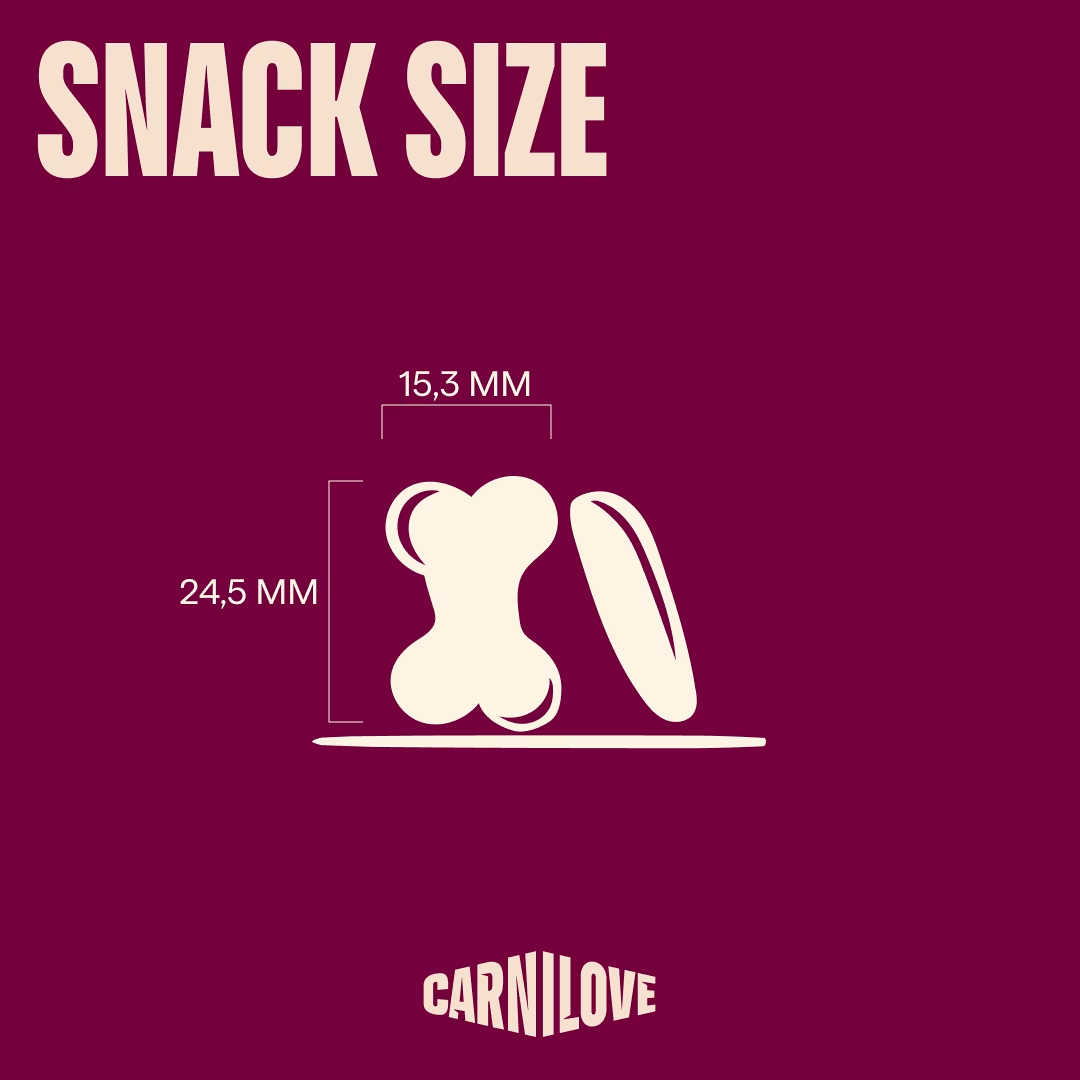CARNILOVE DOG 200G CRUNCHY OSTRICH WITH BLACKBERRIES DOG SNACK image 8