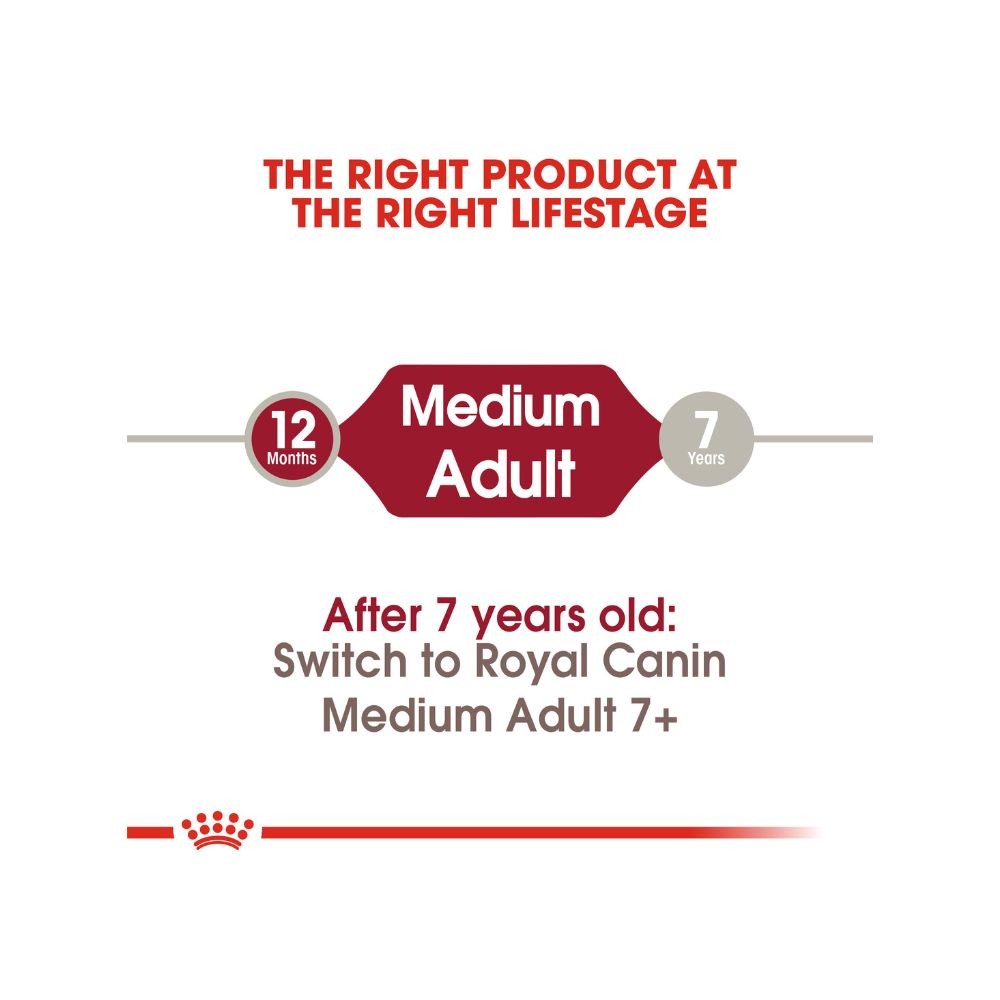 ROYAL CANIN MEDIUM ADULT 4KG DRY DOG FOOD image 4