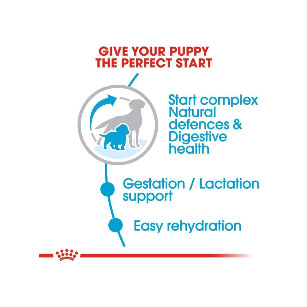 ROYAL CANIN MEDIUM STARTER MOTHER & BABYDOG 4KG DRY DOG FOOD image 2
